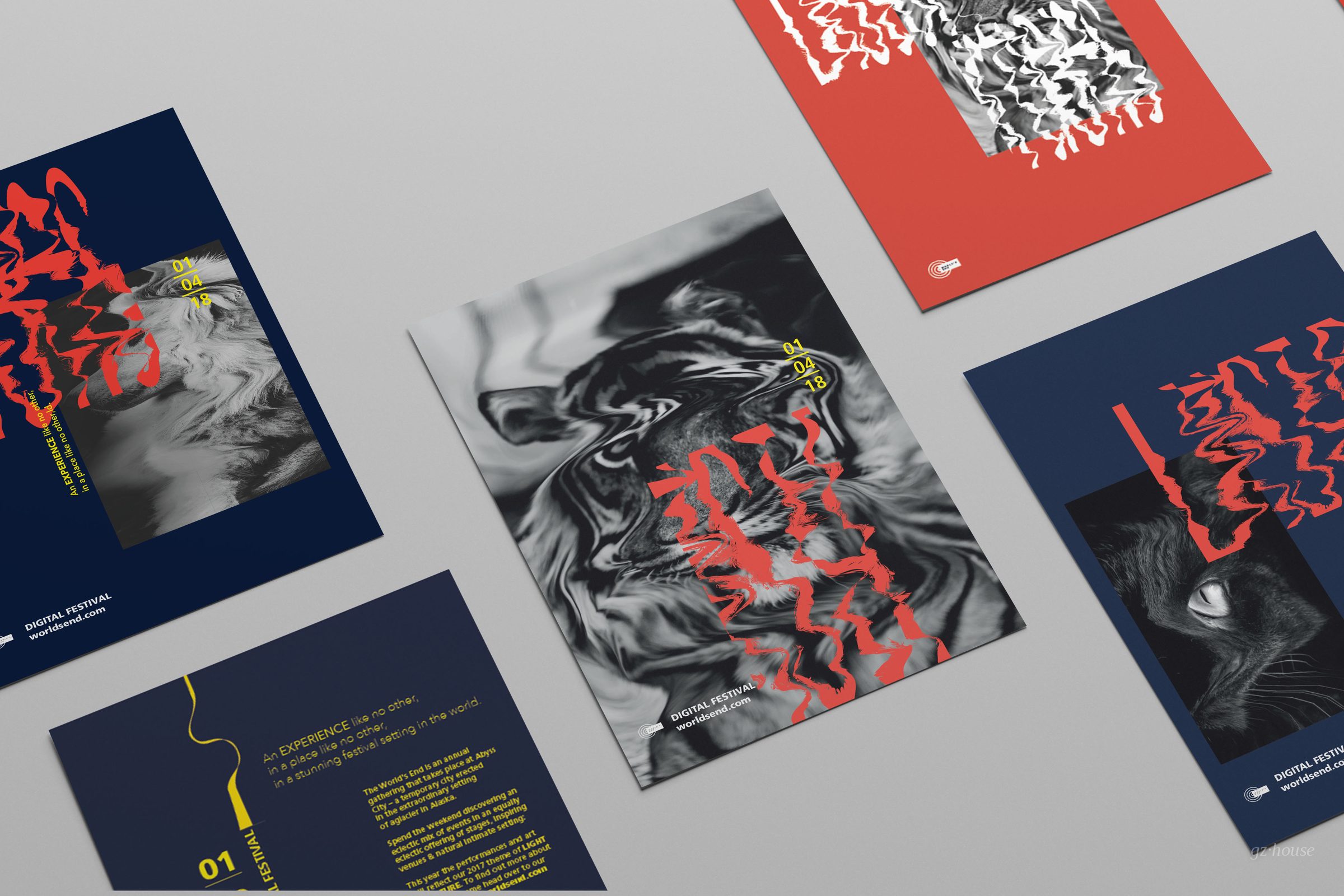Visual Distortions, image 2